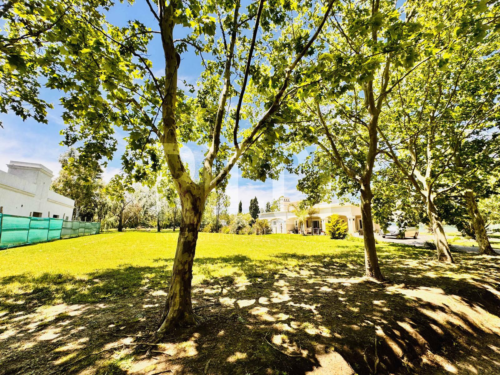 Foto Terreno en Venta en Club Miralagos, Countries/B.Cerrado (La Plata) Lote en venta | Miralagos