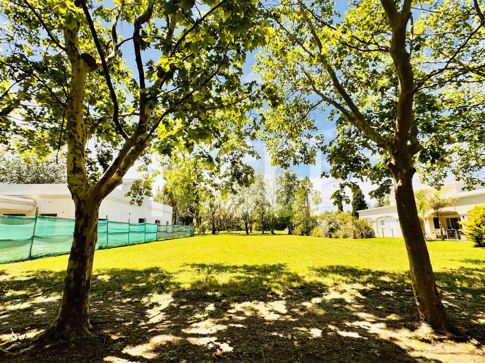 Foto Terreno en Venta en Club Miralagos, Countries/B.Cerrado (La Plata) Lote en venta | Miralagos