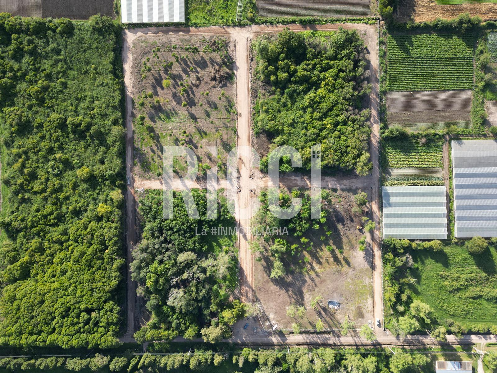 Foto Terreno en Venta en Centro Agricola El Pato, Berazategui 524  al 3700