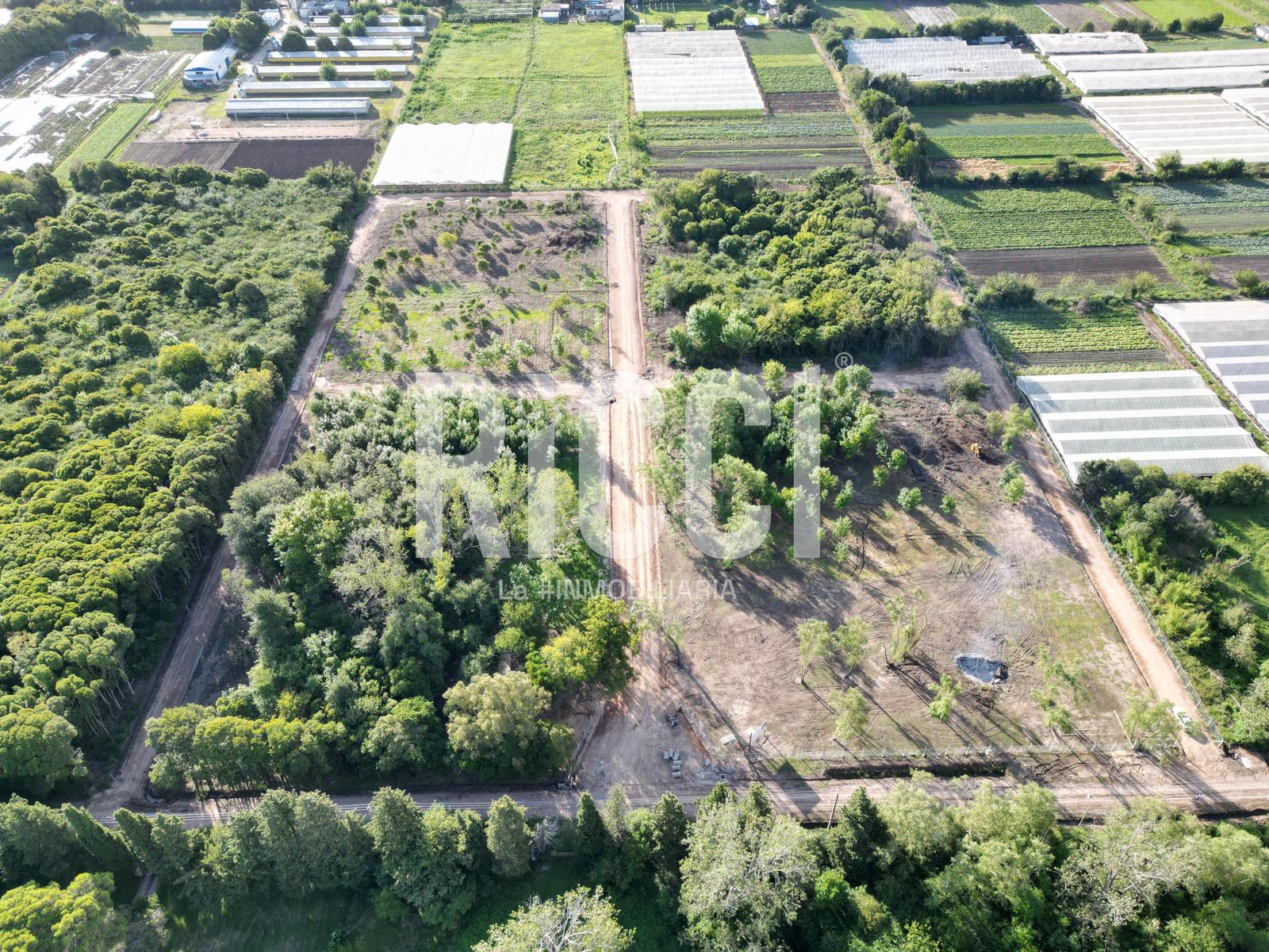 Foto Terreno en Venta en Centro Agricola El Pato, Berazategui 524 al 3700