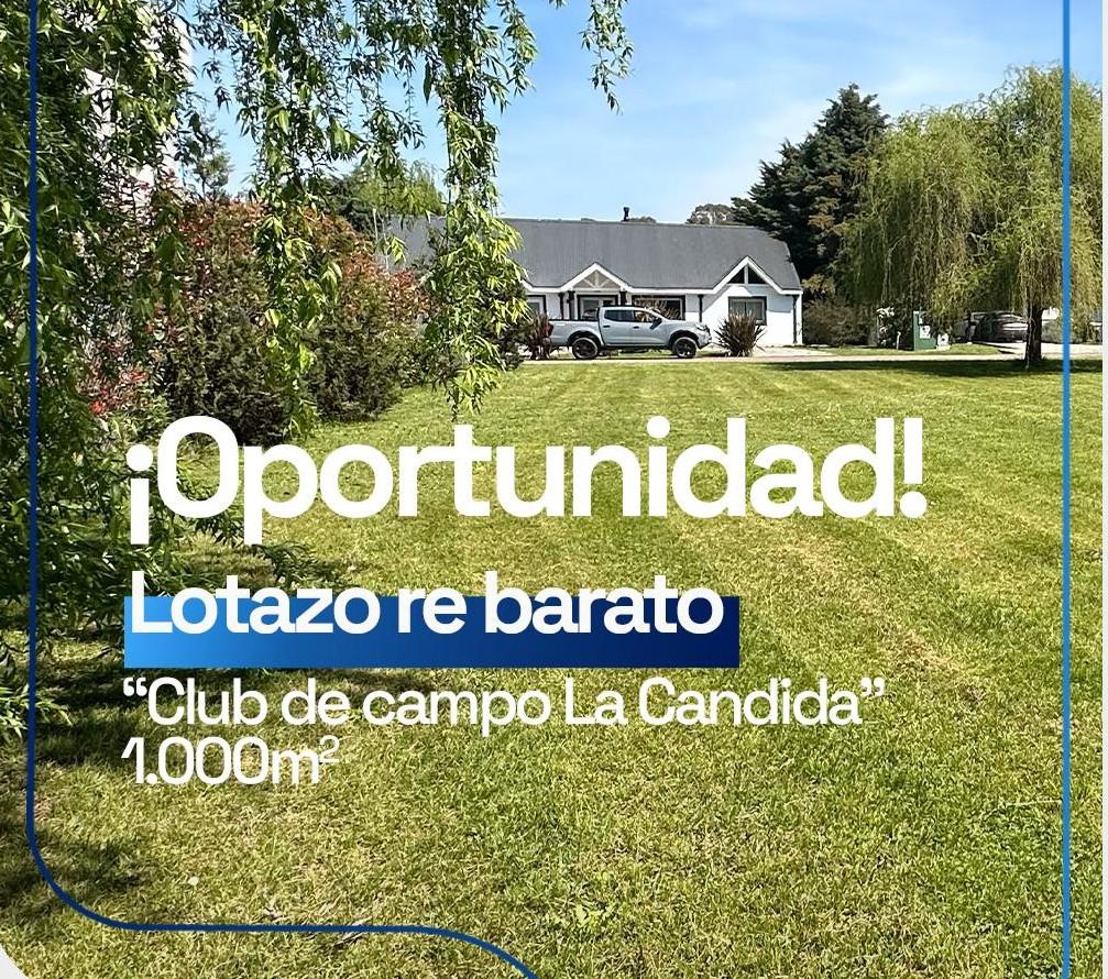 Foto Terreno en Venta en Arturo Segui, La Plata RUTA 2 KM 46 